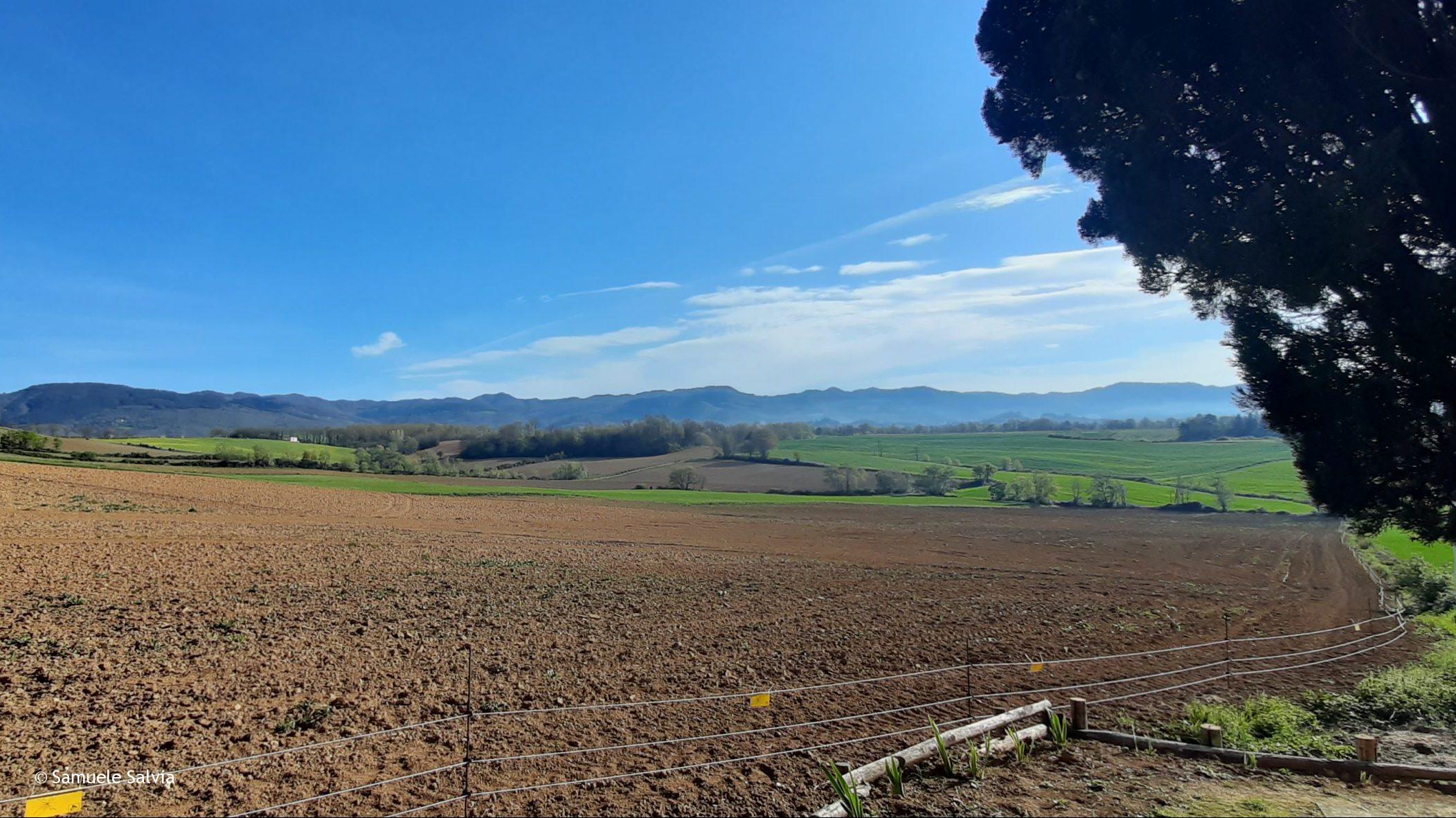 Tratto della Via degli Dei che unisce Scarperia con San Piero a Sieve.