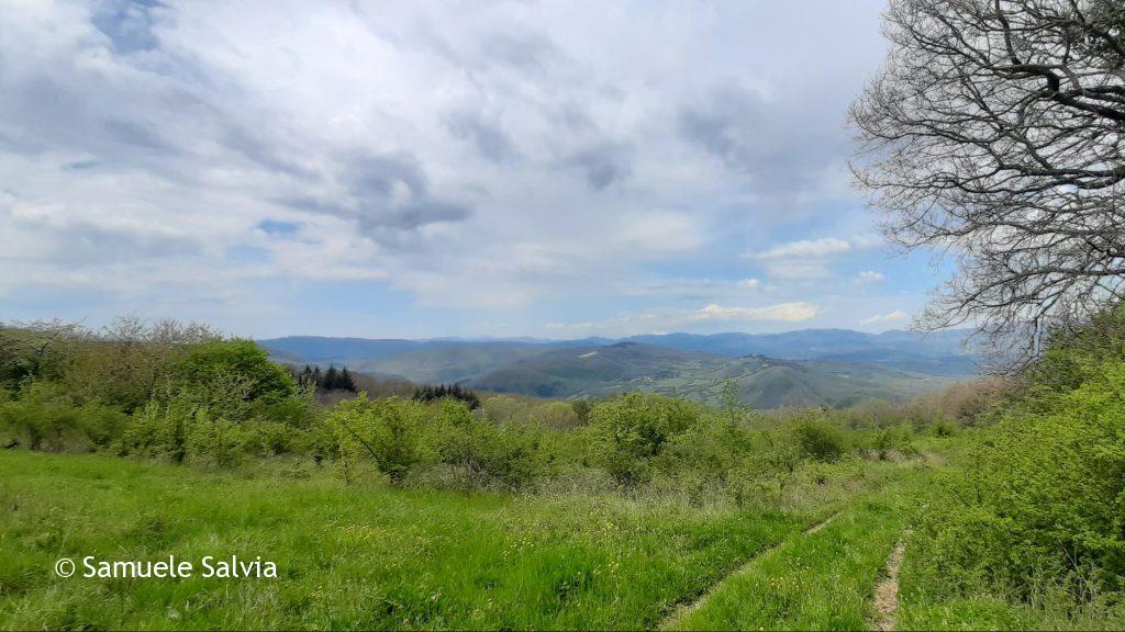 Panorama lungo la Via degli Dei nel tratto che si avvia verso Monte Senario e Bivigliano.