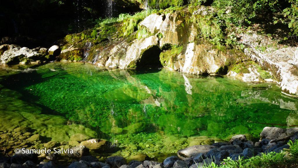 Dettaglio sul laghetto formato dalla cascata Slap Virje con il suo colore verde smeraldo.