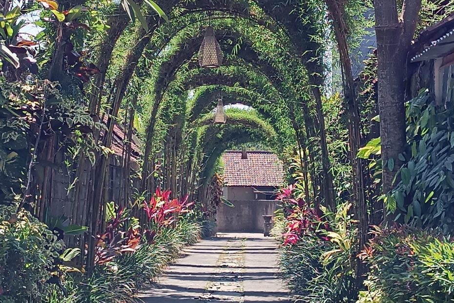 Ubud, la "vera Bali"