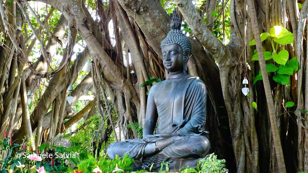 Bellissima statua del Buddha nei giardini del tempio di Wat Rong Khun.