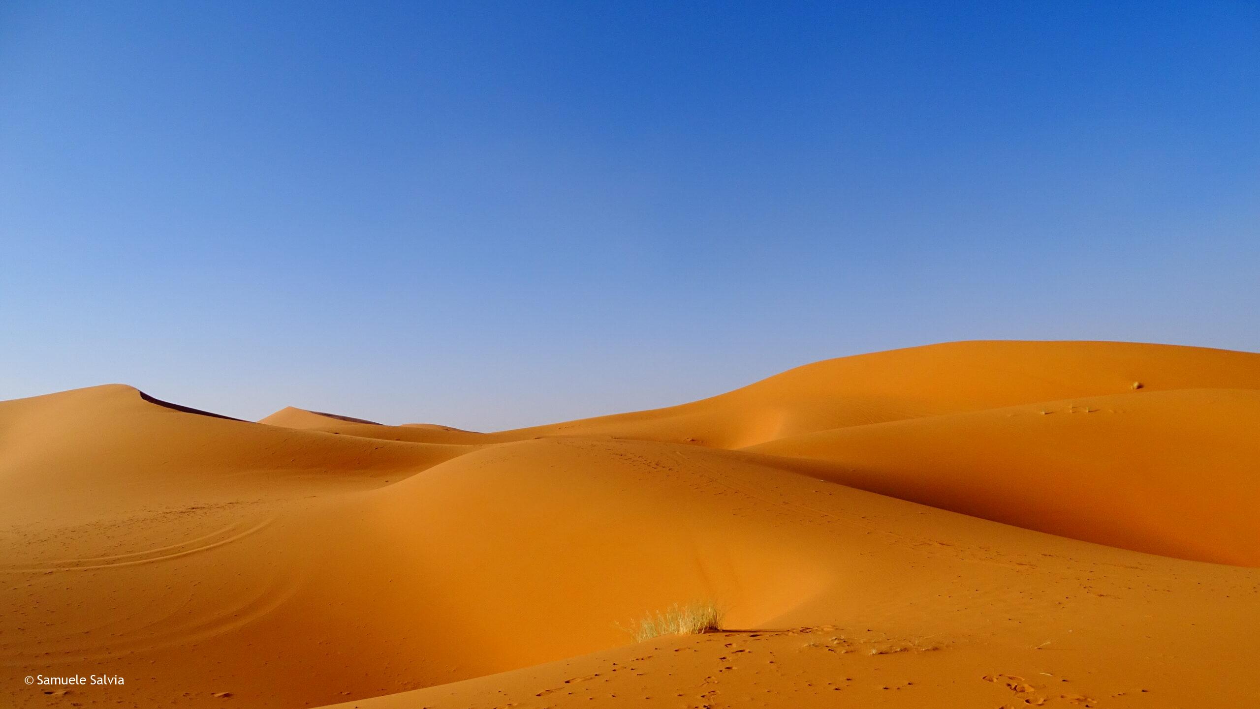 Le dune sabbiose dell'Erg Chebbi nel Deserto del Sahara.