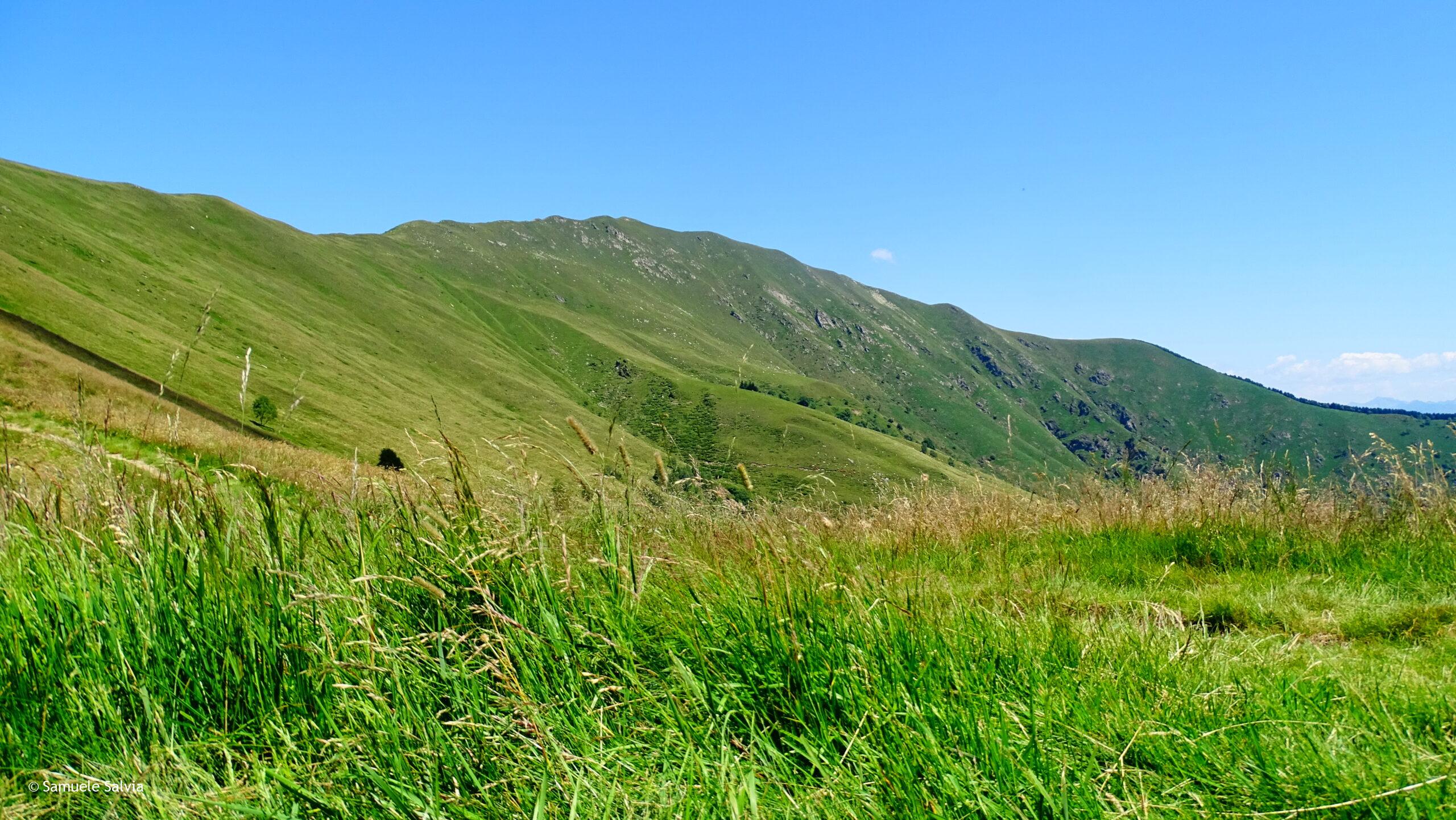 Il Monte Gradiccioli si mostra in tutta la sua imponenza.