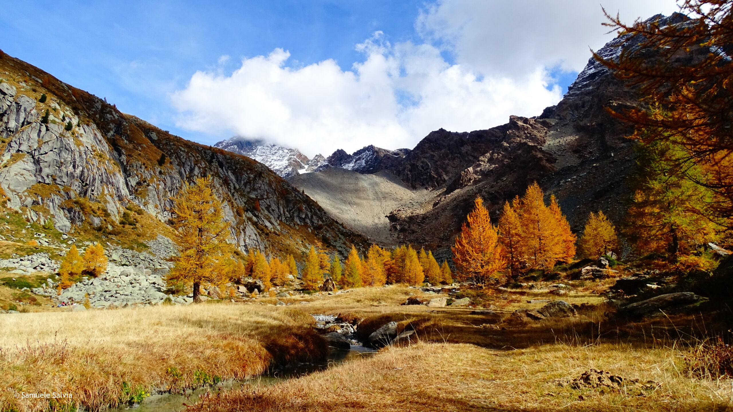 val masino, predarossa, valtellina, foliage, autunno, trekking, filorera, duino