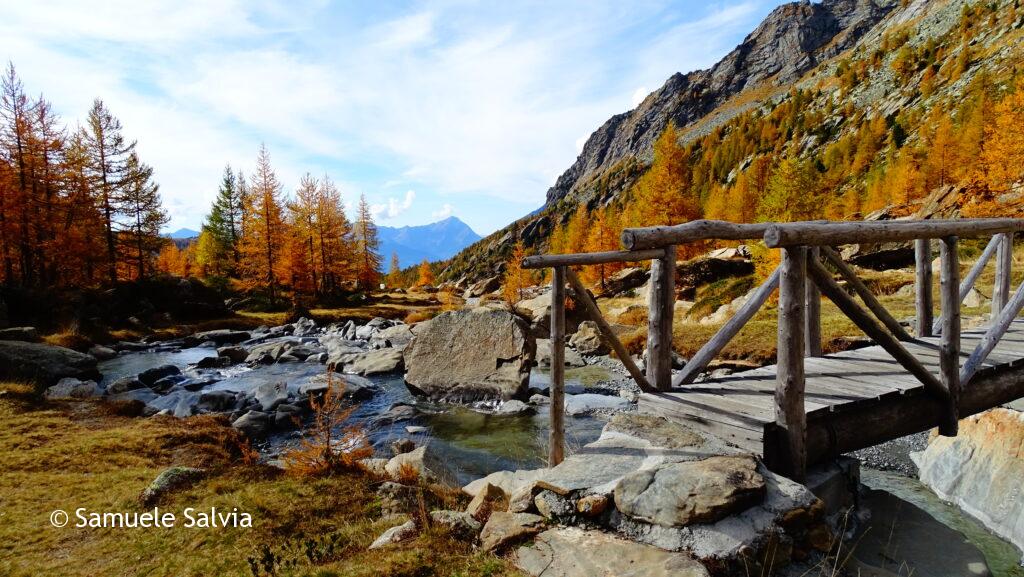 val masino, predarossa, valtellina, foliage, autunno, trekking, filorera, duino