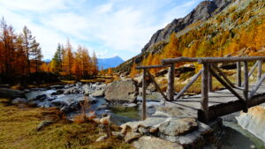 val masino, predarossa, valtellina, foliage, autunno, trekking, filorera, duino