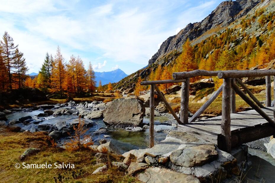 val masino, predarossa, valtellina, foliage, autunno, trekking, filorera, duino