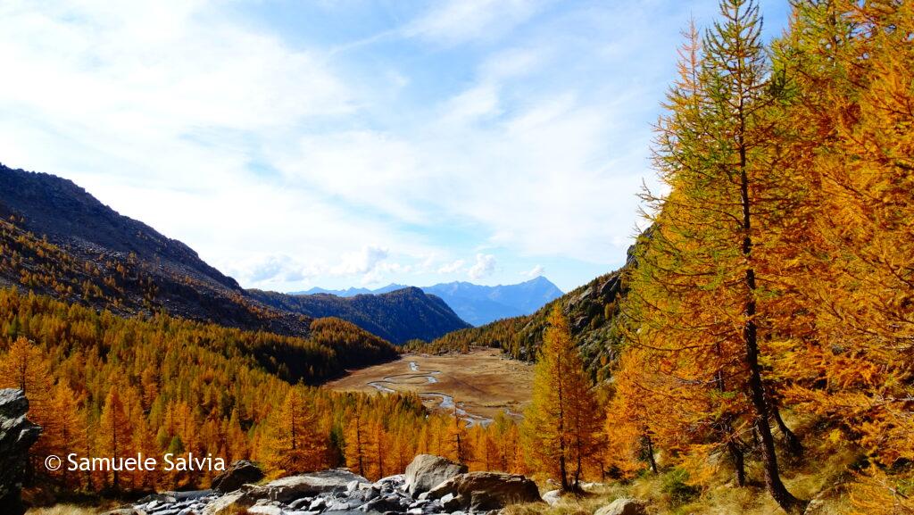 val masino, predarossa, valtellina, foliage, autunno, trekking, filorera, duino