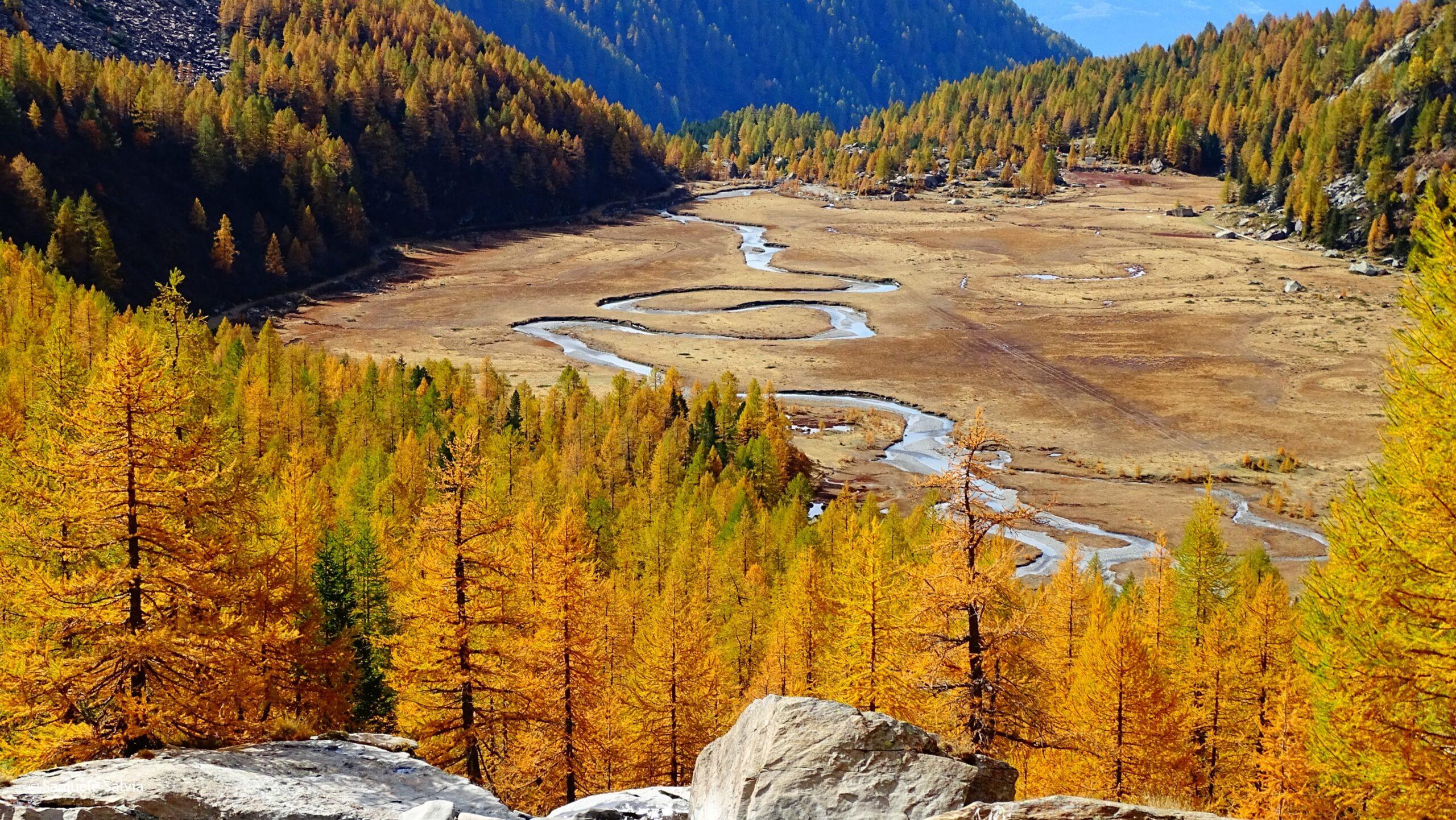 val masino, predarossa, valtellina, foliage, autunno, trekking, filorera, duino