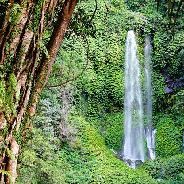 asia, indonesia, lombok, cascate, sendang gile, tiu kelep, cosa vedere a lombok, cosa fare a lombok, cascate lombok, senaru