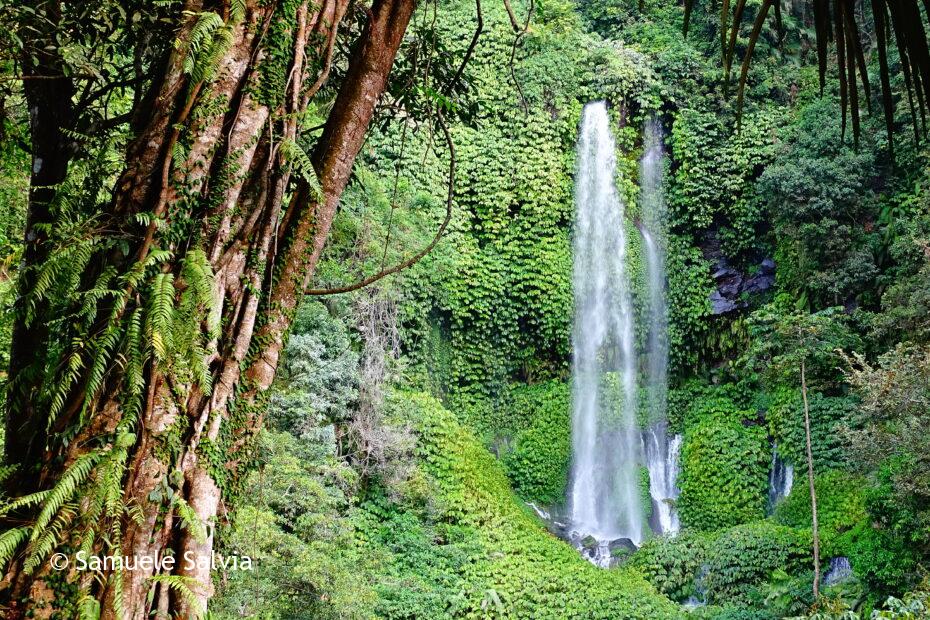 asia, indonesia, lombok, cascate, sendang gile, tiu kelep, cosa vedere a lombok, cosa fare a lombok, cascate lombok, senaru