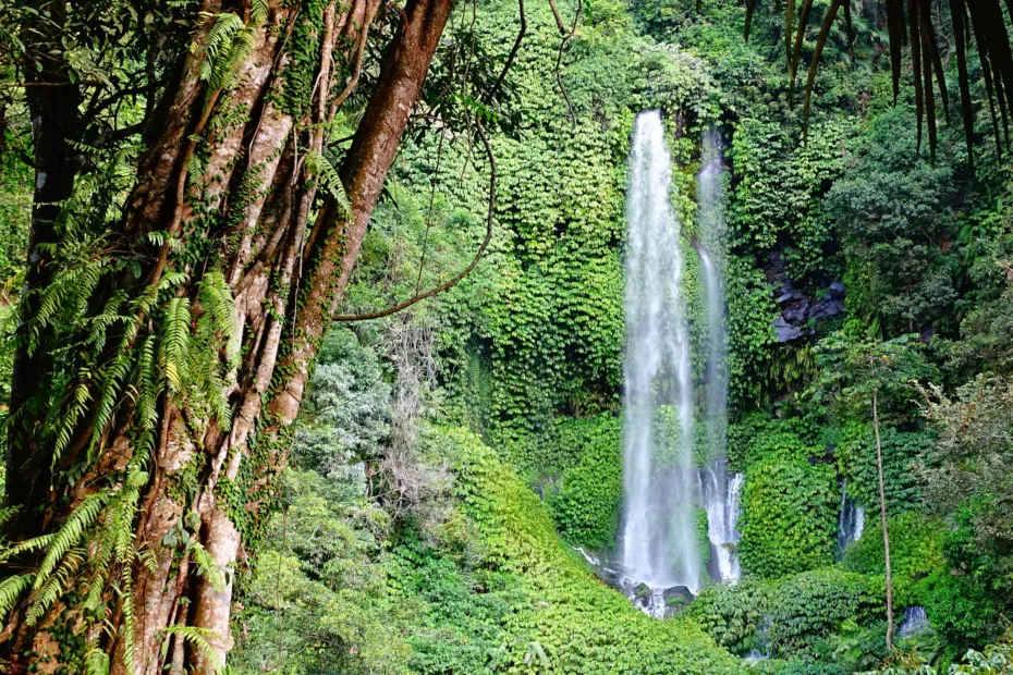 asia, indonesia, lombok, cascate, sendang gile, tiu kelep, cosa vedere a lombok, cosa fare a lombok, cascate lombok, senaru, assicurazione di viaggio