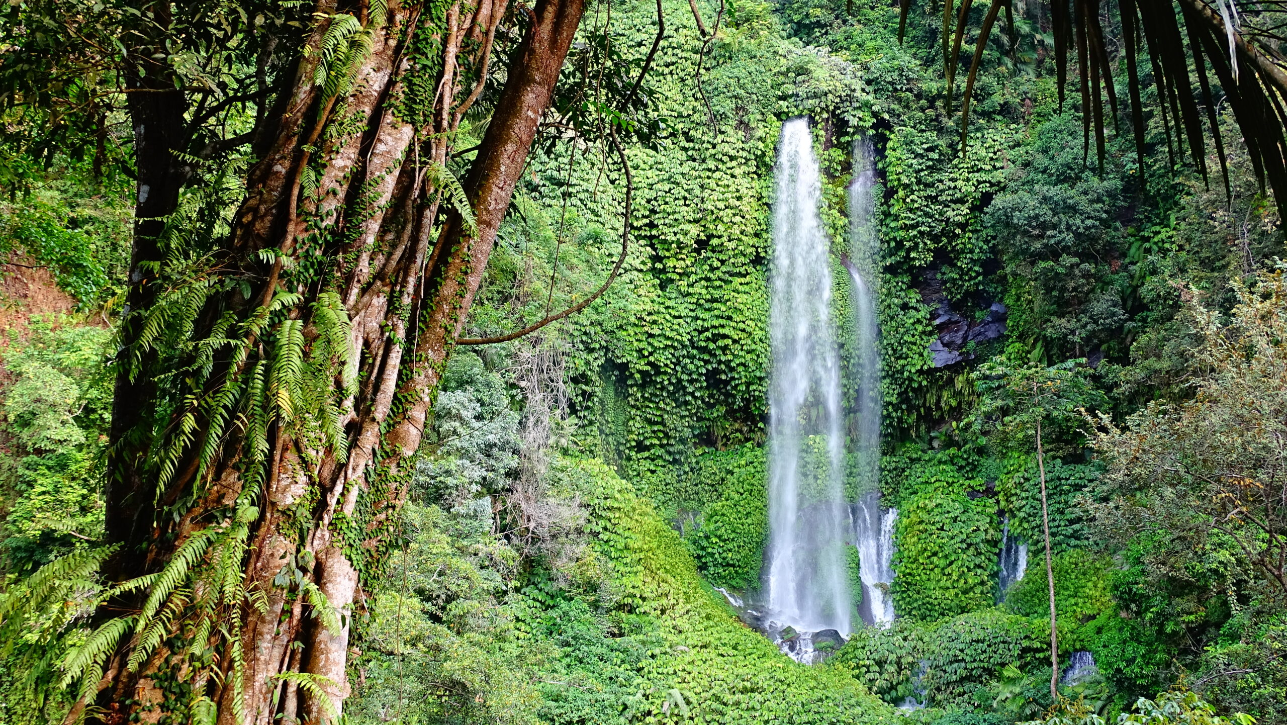 asia, indonesia, lombok, cascate, sendang gile, tiu kelep, cosa vedere a lombok, cosa fare a lombok, cascate lombok, senaru, assicurazione di viaggio