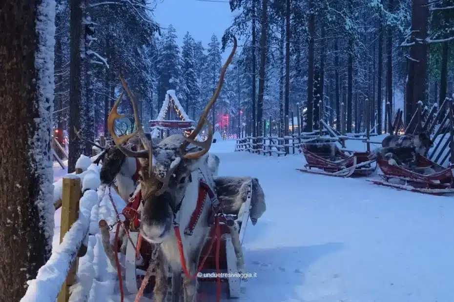 finlandia, lapponia, lapponia finlandese, neve, ghiaccio, inverno, rovaniemi, cosa fare a rovaniemi, cosa vedere a rovaniemi, villaggio di babbo natale, santa claus village, villaggio di santa claus